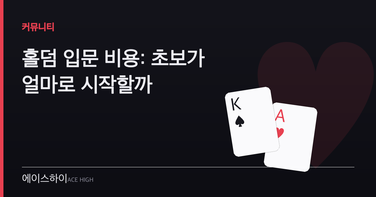 홀덤 입문 비용 — 에이스하이 포커 가이드 이미지